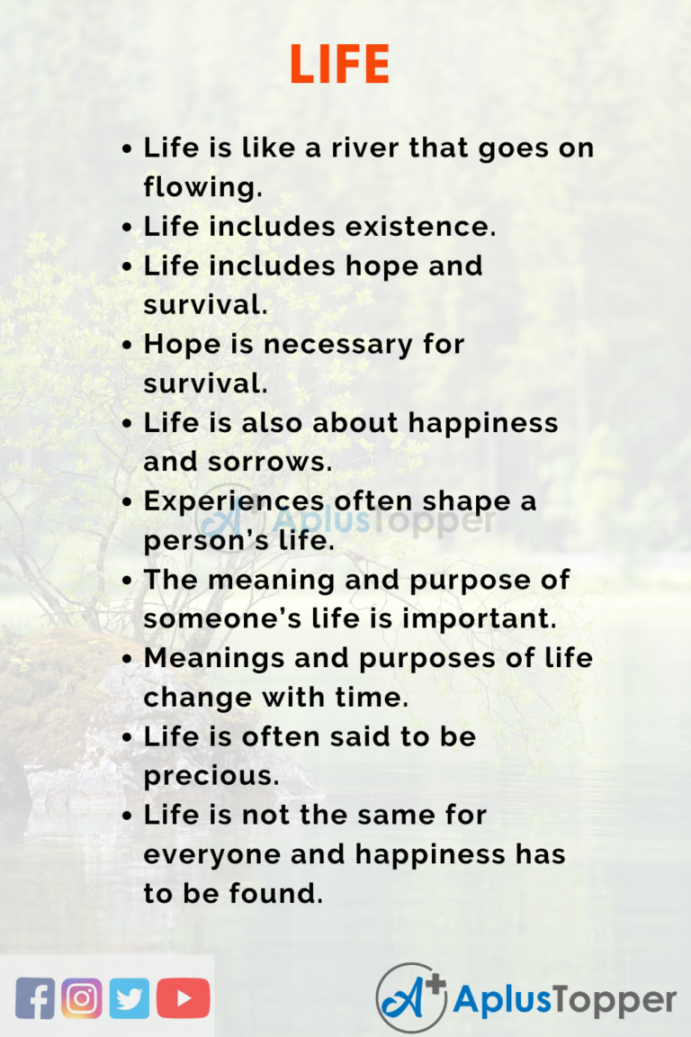 introduction for life lessons essay