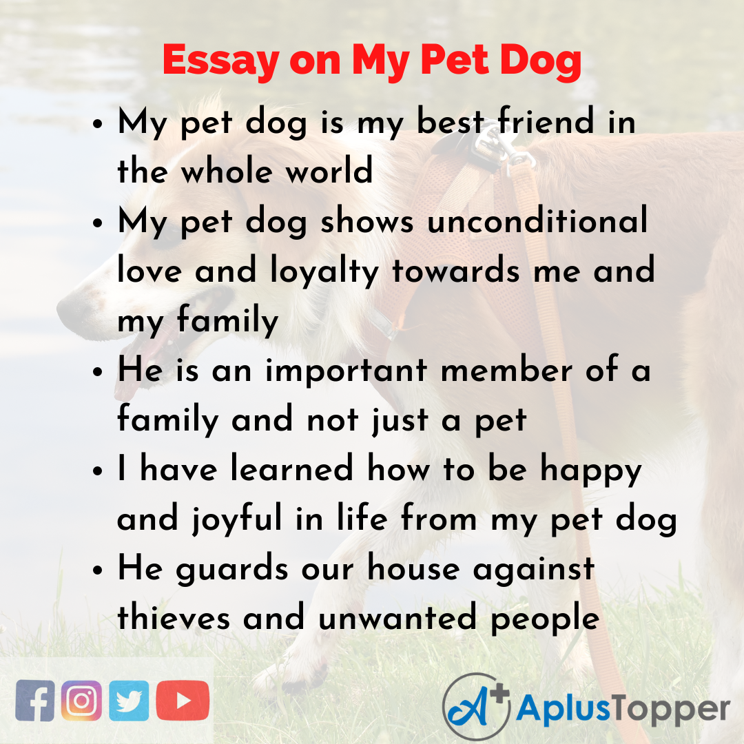 my favourite pet essay for class 5