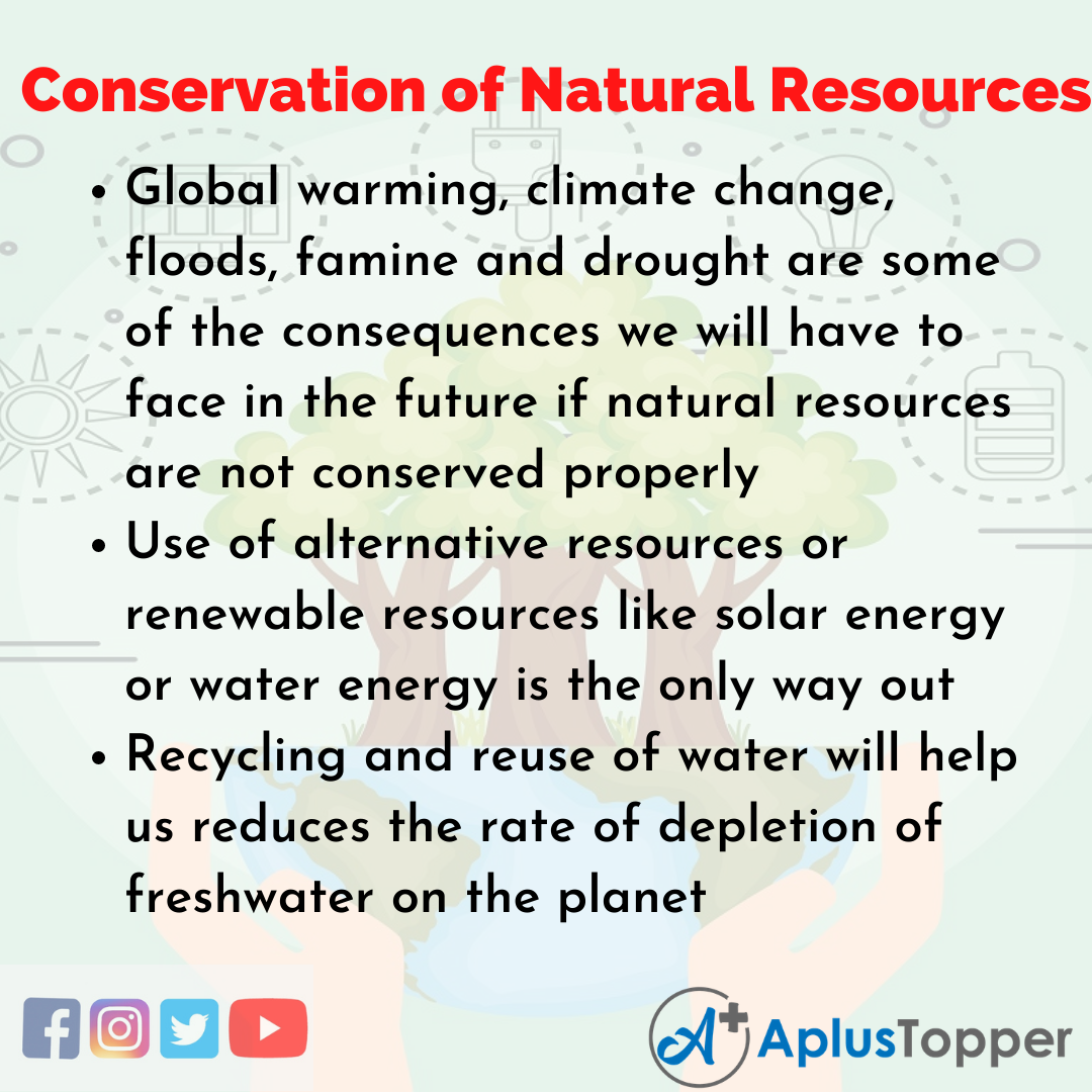 conservation of natural resources essay in 100 words