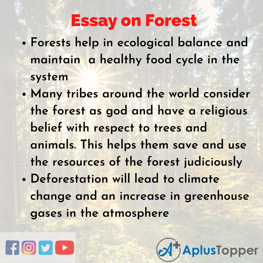 essay on a day in the forest