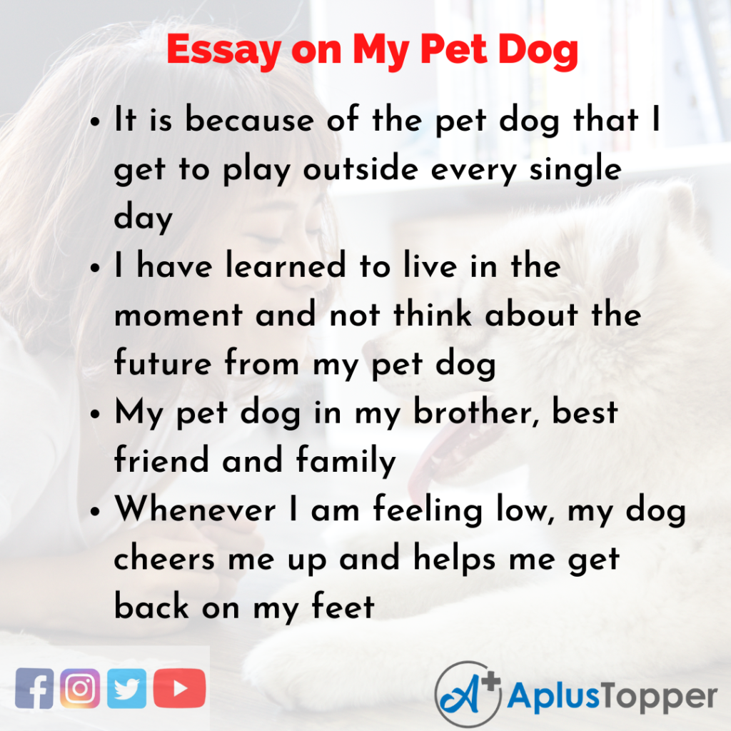 essay on pet dog for class 1