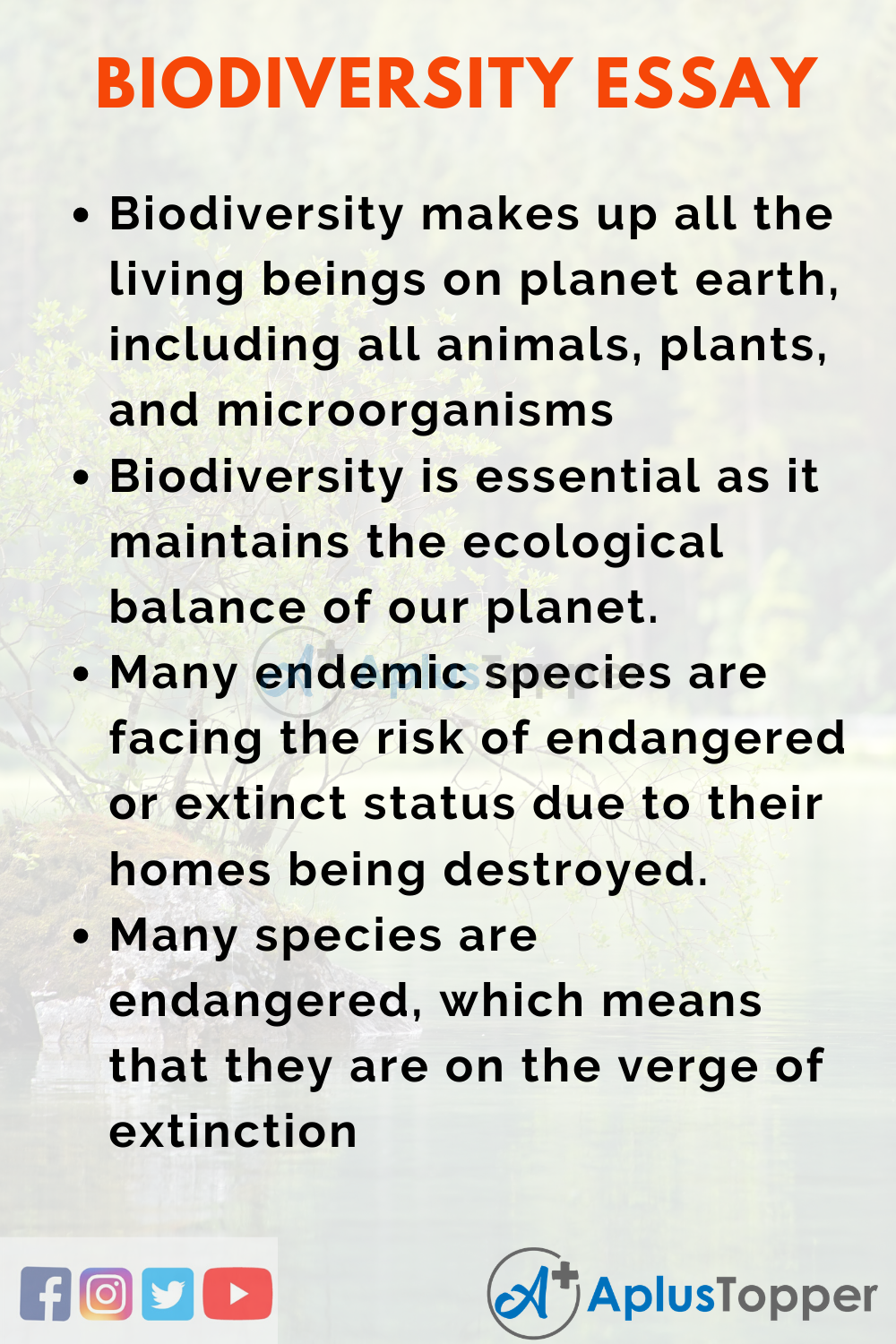 essay about levels of biodiversity