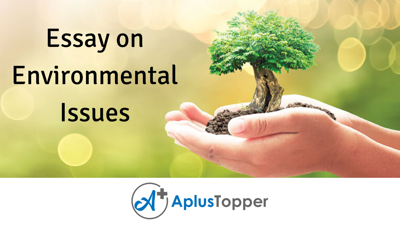 topics for essay on environmental issues