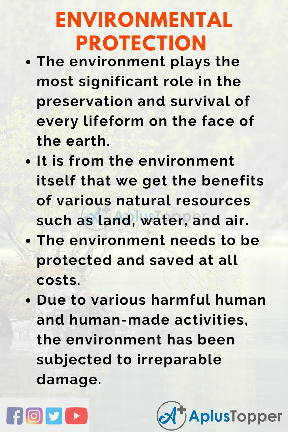 conservation of environment essay