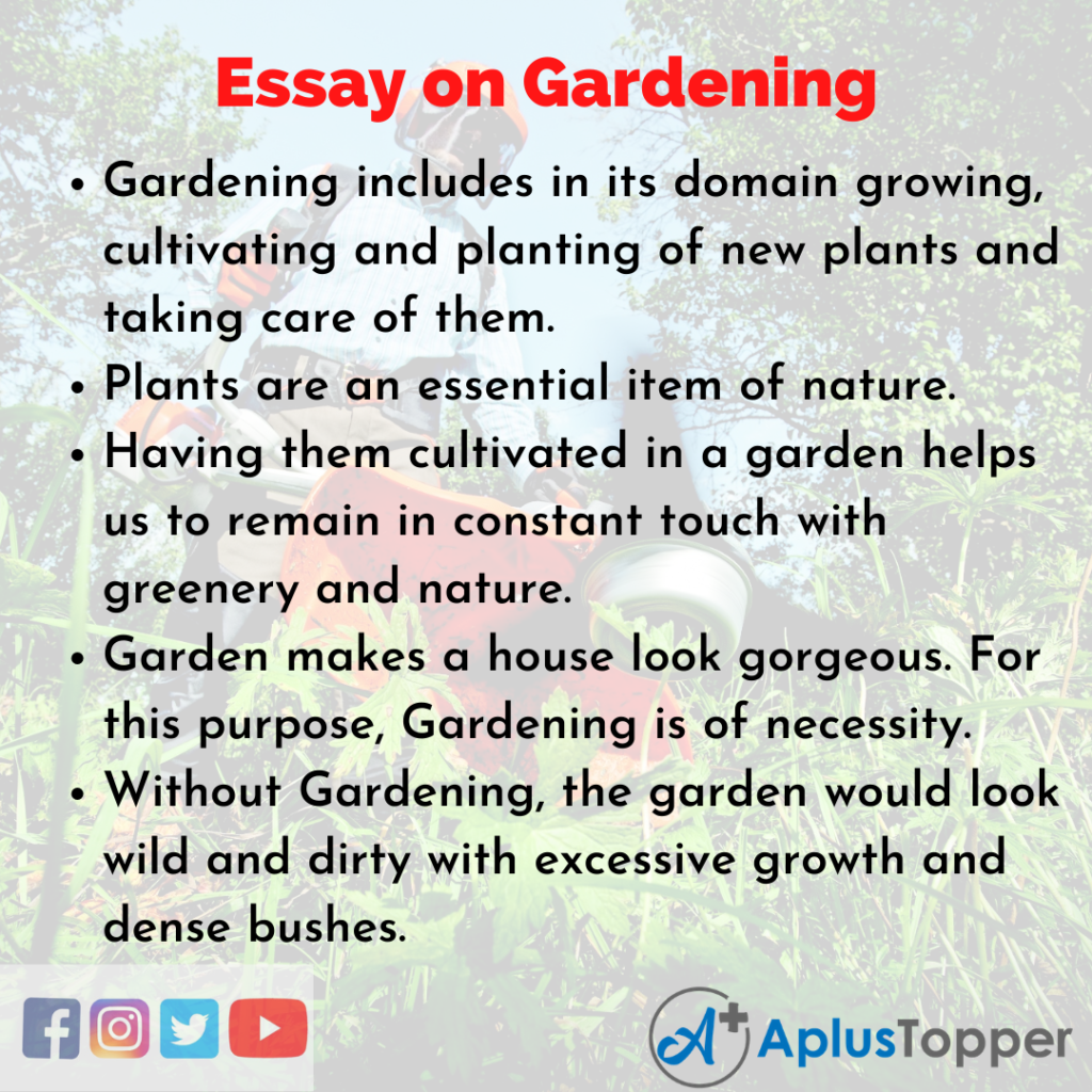 my hobby gardening essay for class 12