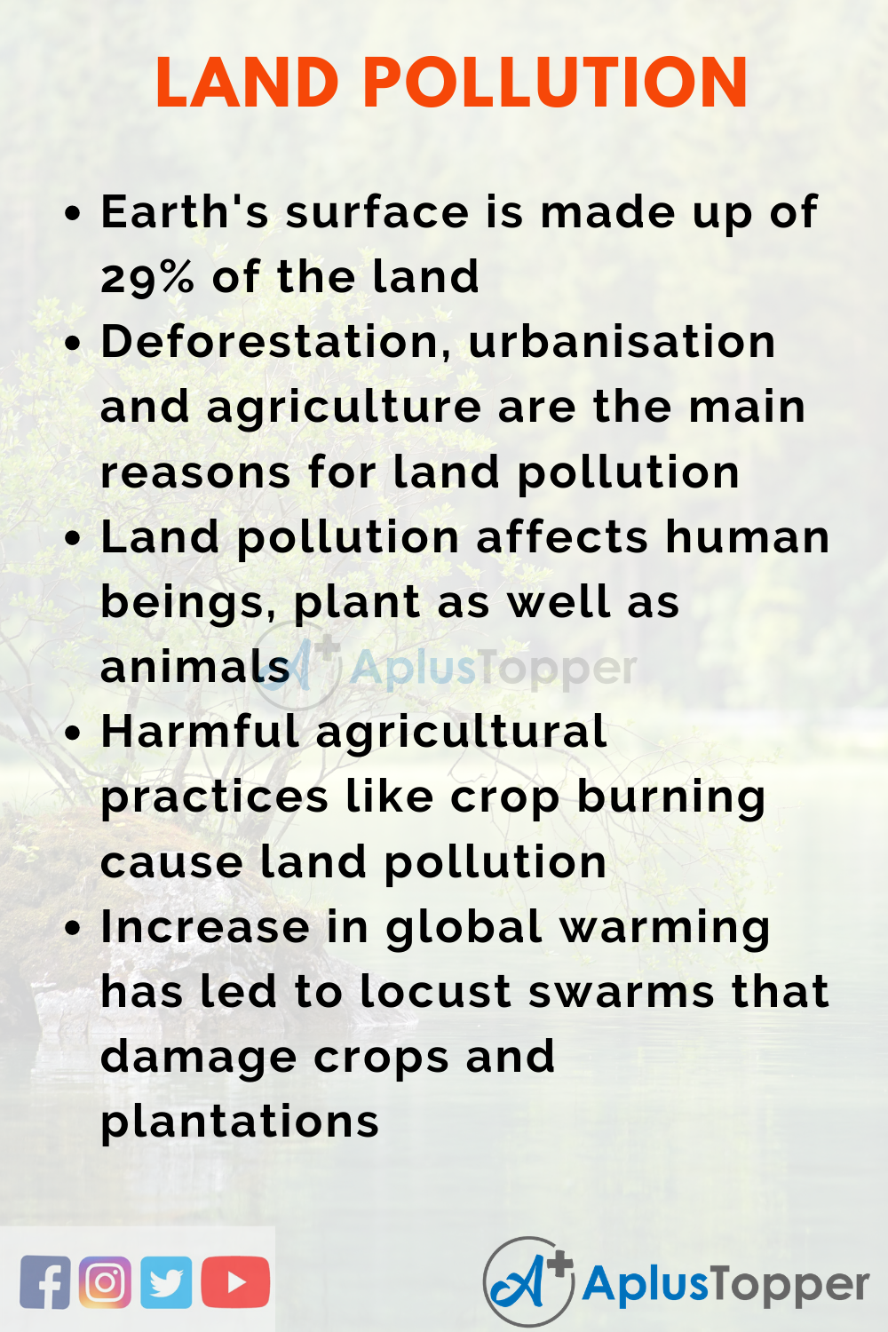 effects of land pollution essay