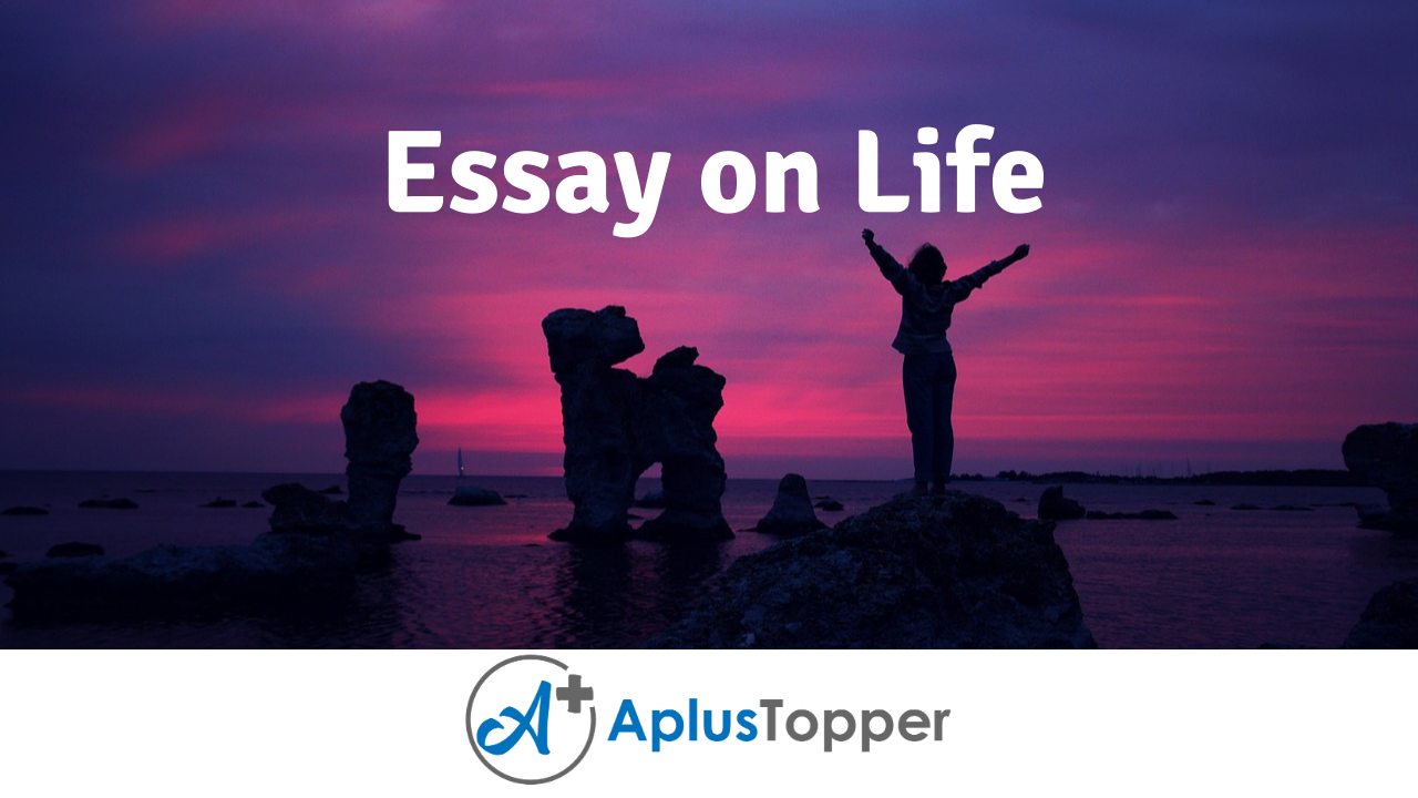 short essay about life experience pdf