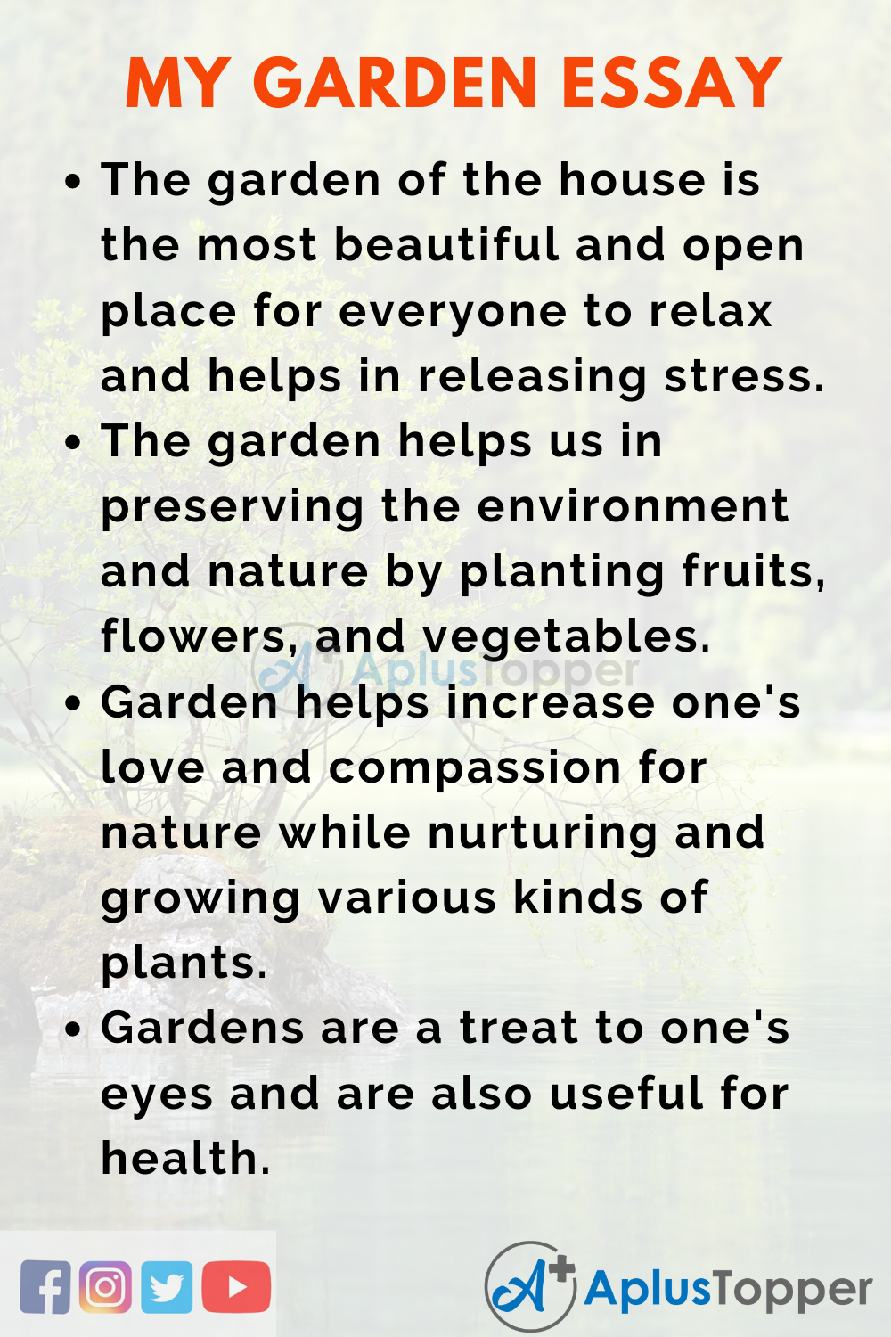 essay on my dream garden