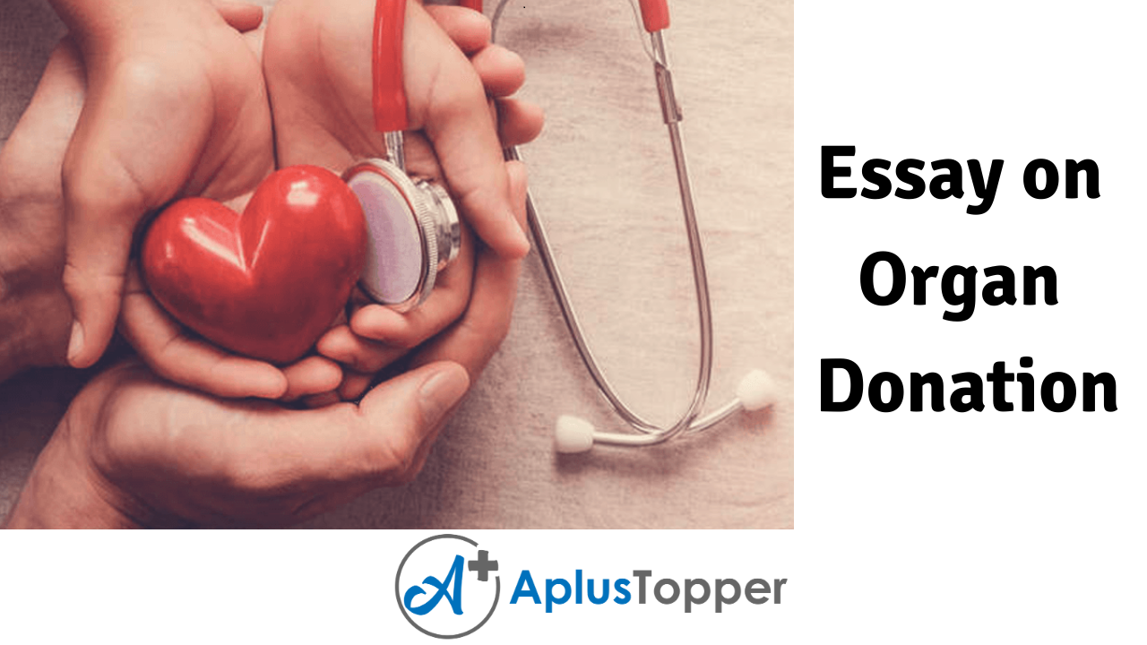 organ donation definition essay