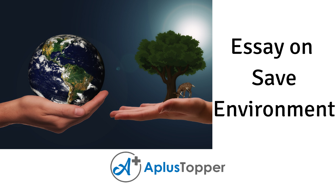 how protect the environment essay
