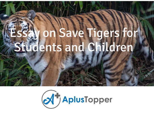 write a short speech on how to save tigers