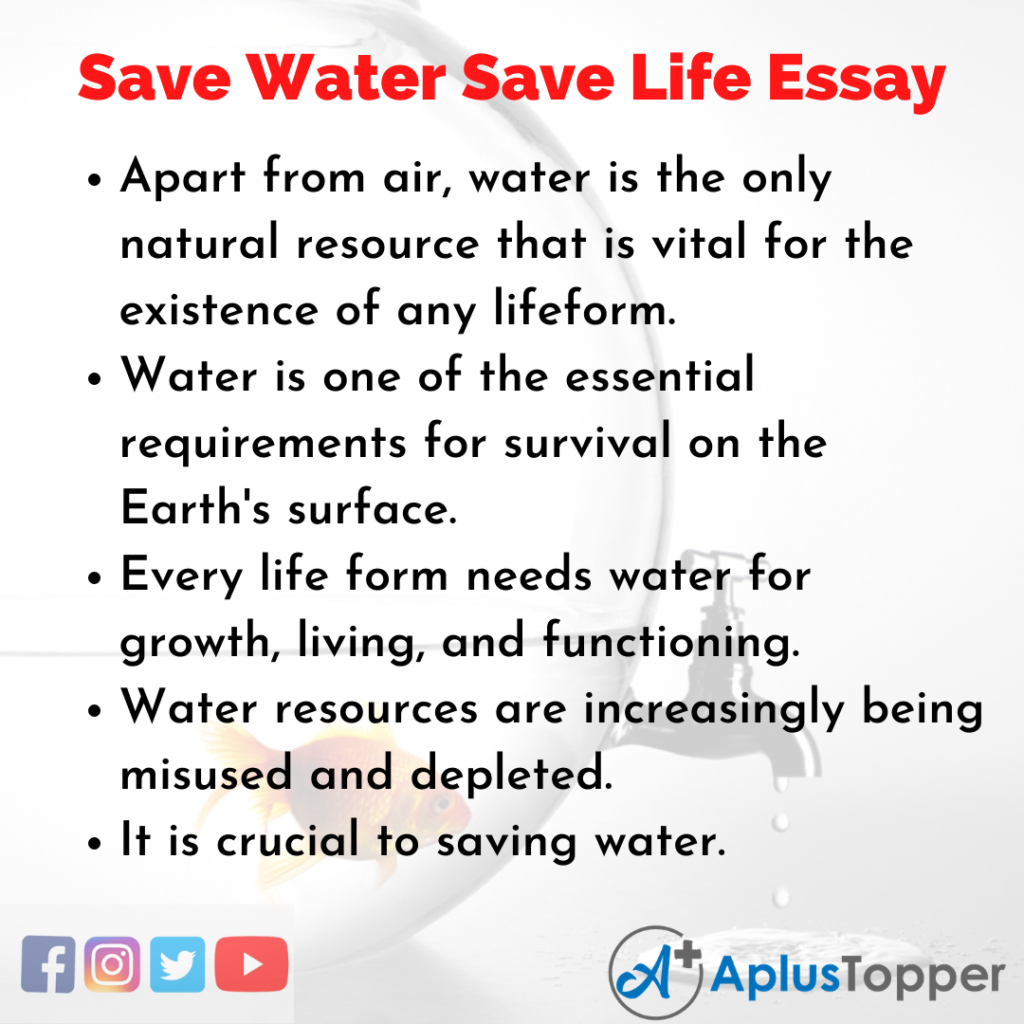 a save water essay