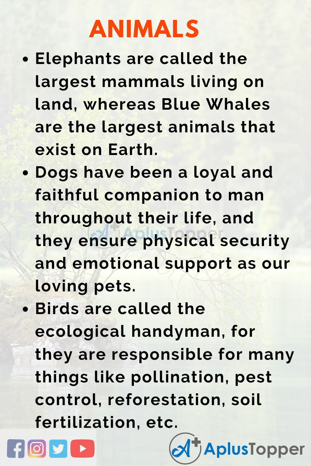animals to write an informative essay on