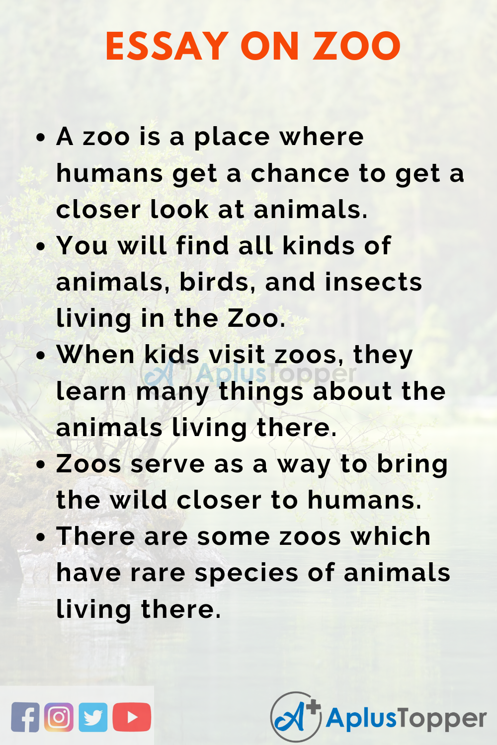 essay writing zoo in english