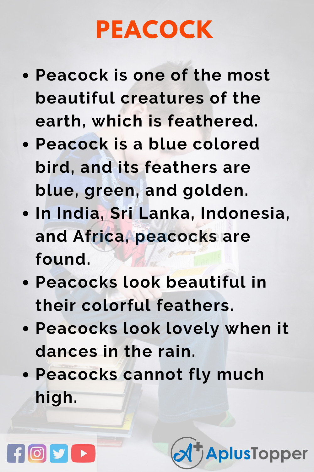 peacock essay in english for class 1