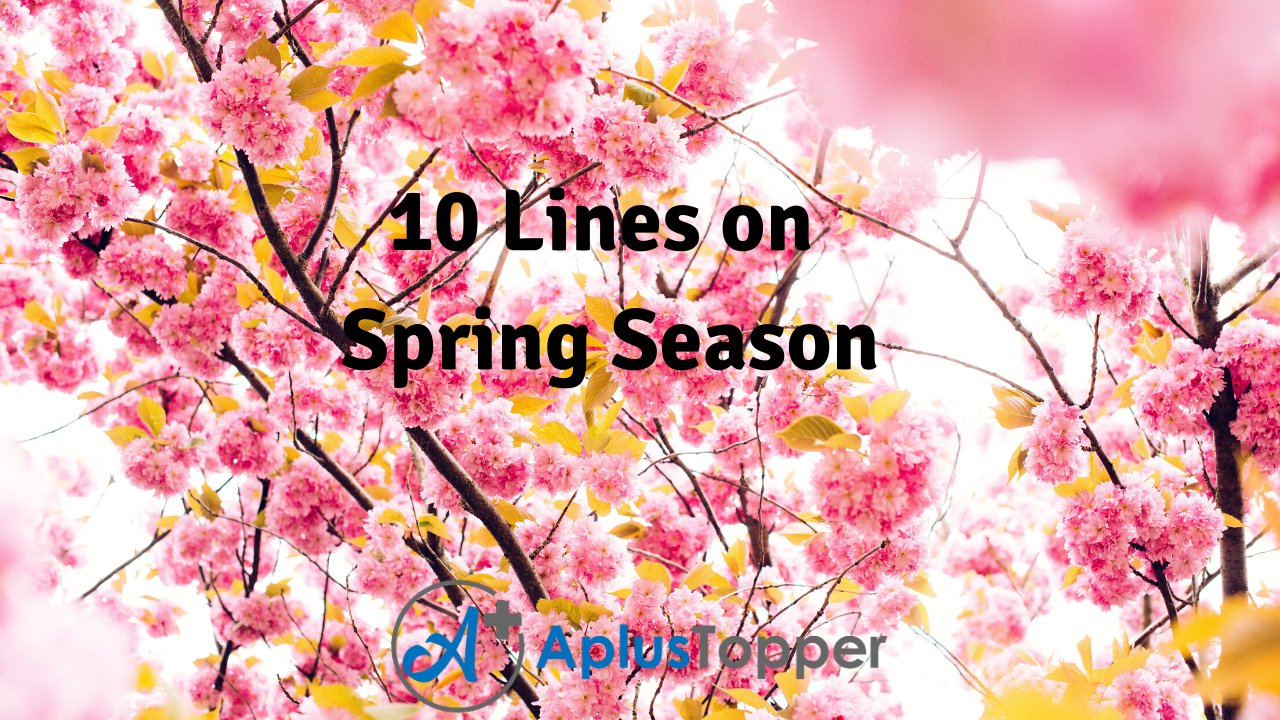 10 Lines on Spring Season for Students and Children in English - A Plus  Topper