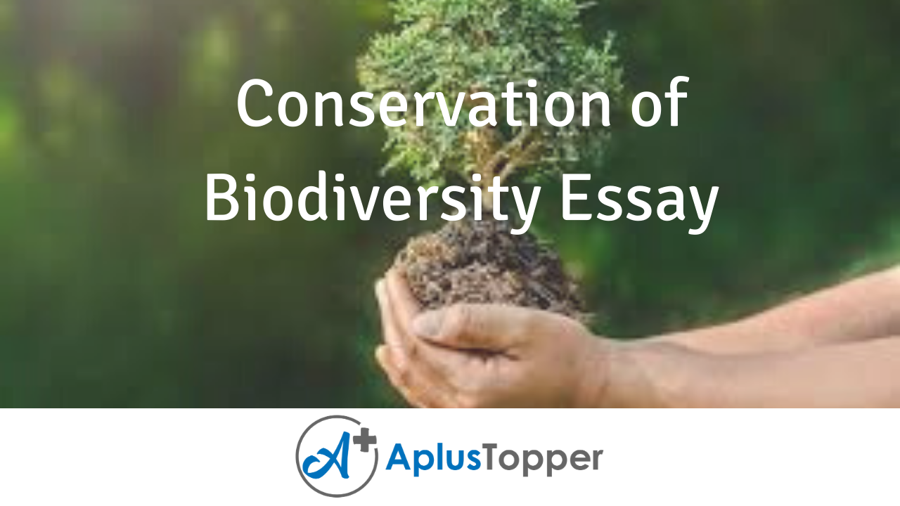 biodiversity and its conservation assignment