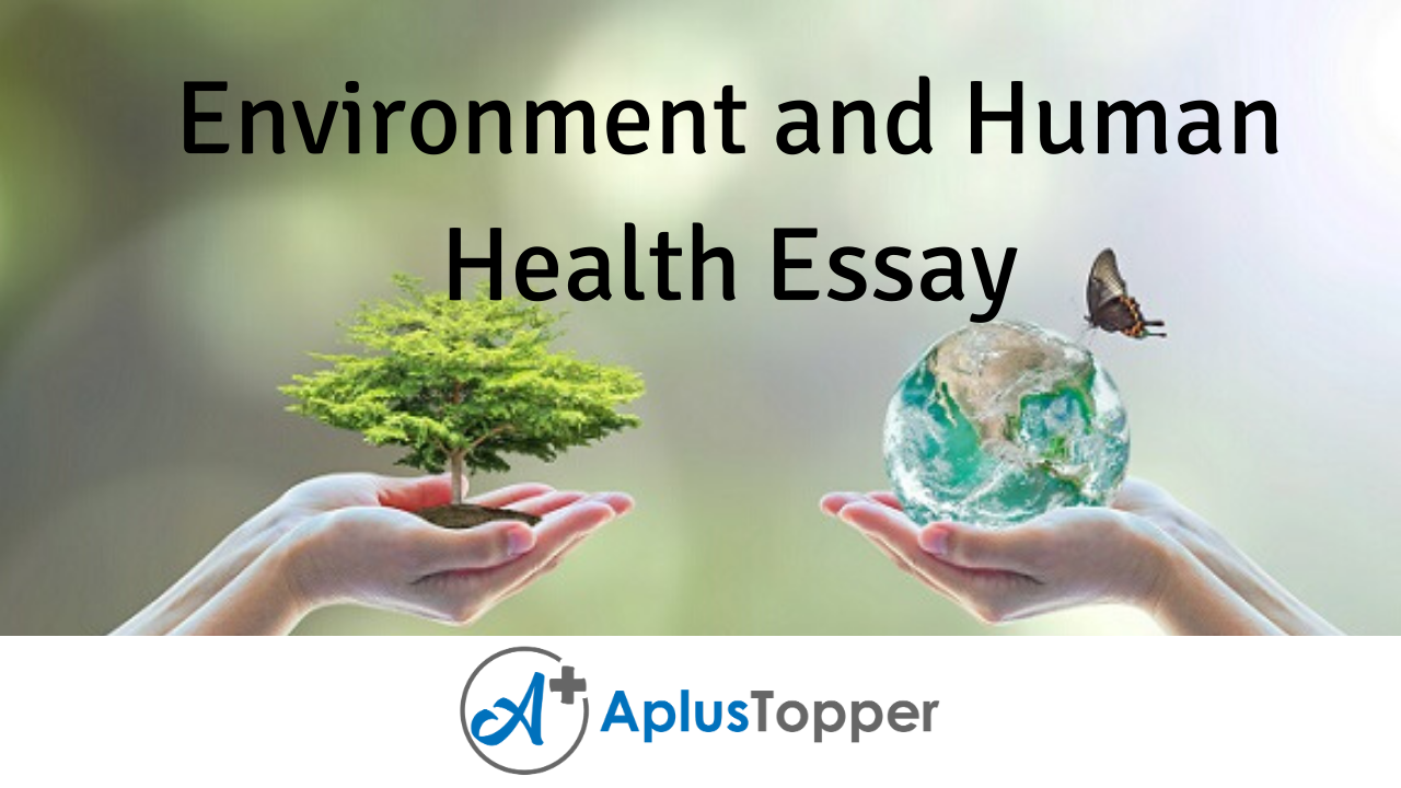 human health and environment essay