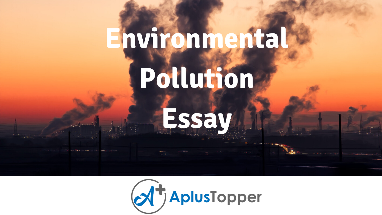 argumentative essay about environmental pollution