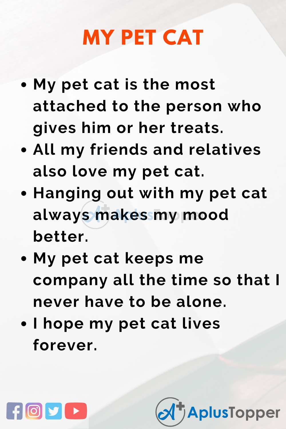 Essay About My Pet Cat
