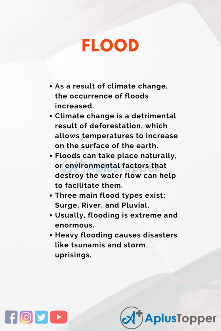 essay on natural disasters flood