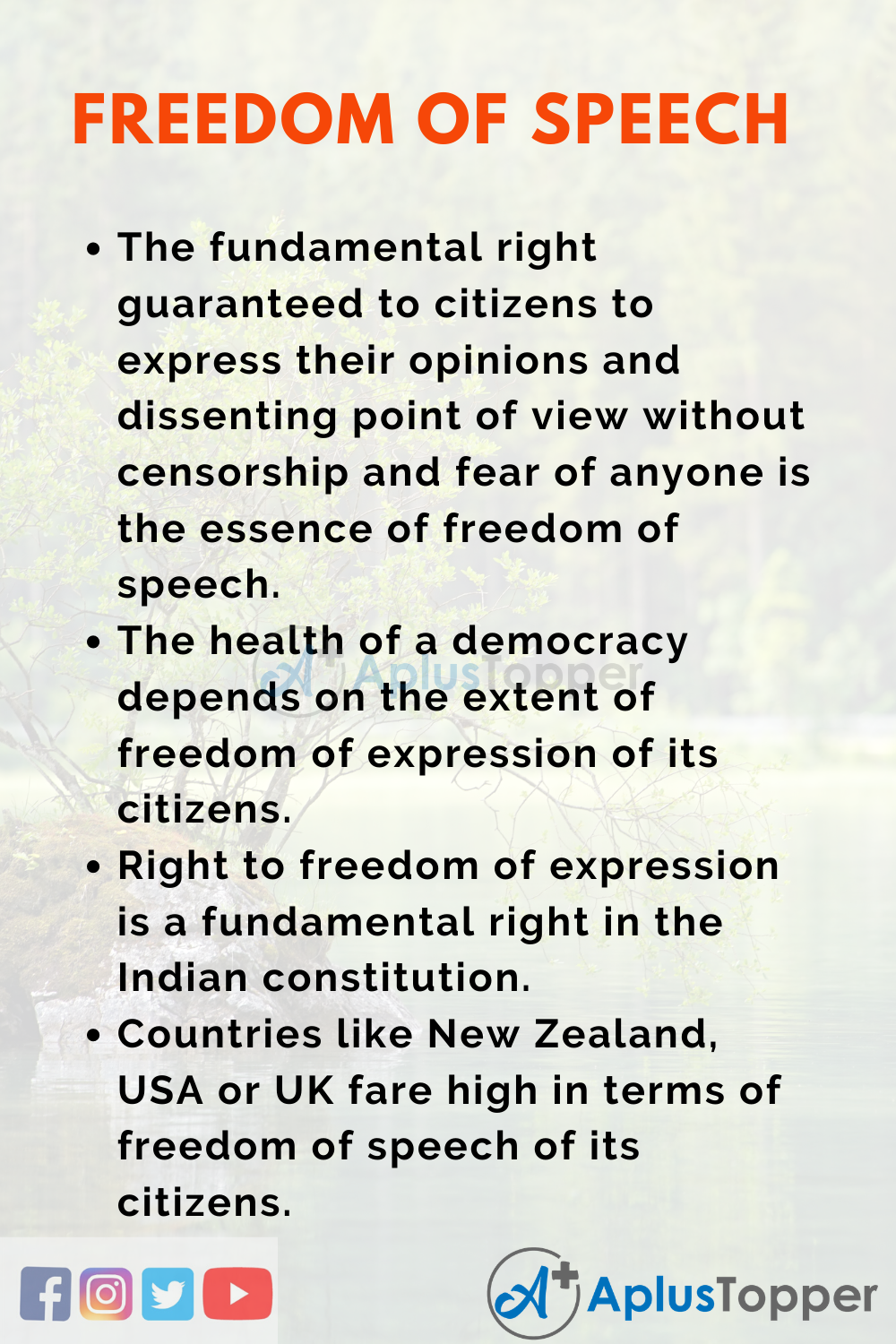 importance of freedom essay