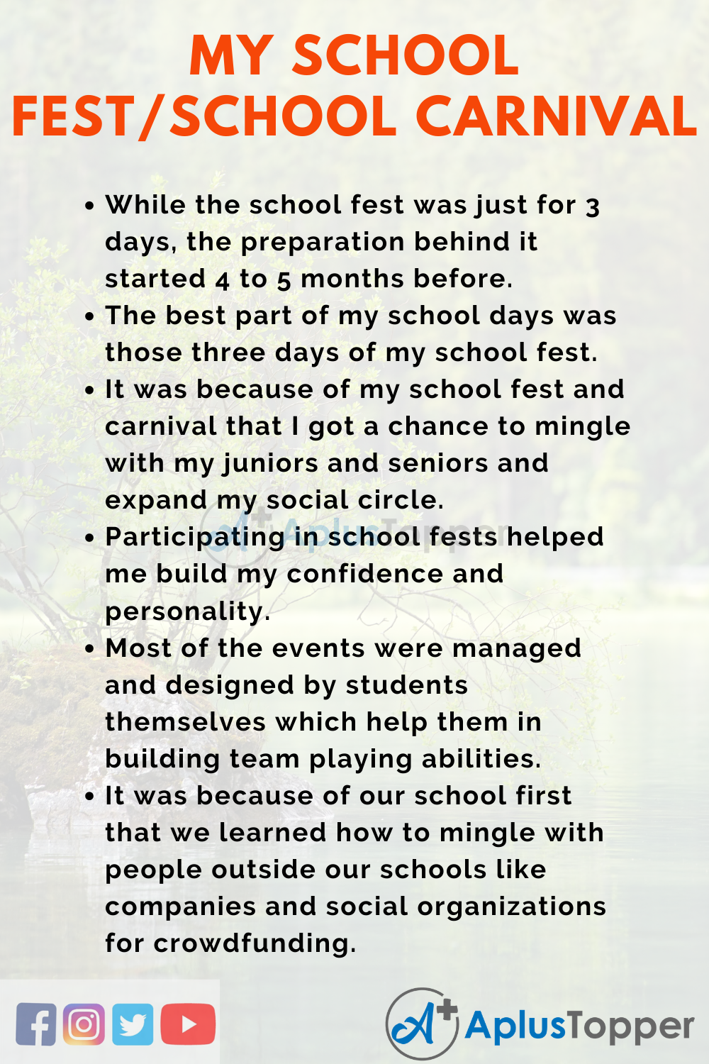 school carnival essay report