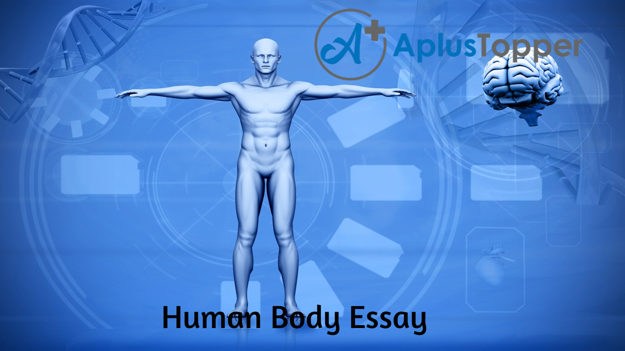 the story of the human body essay