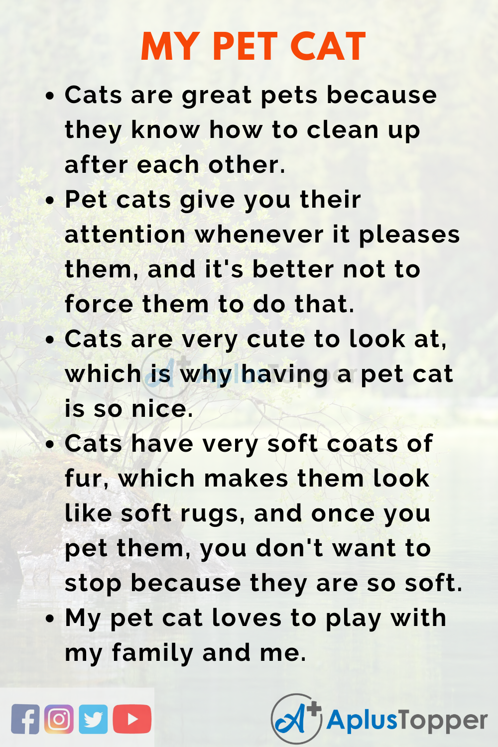 short essay on cat for class 6