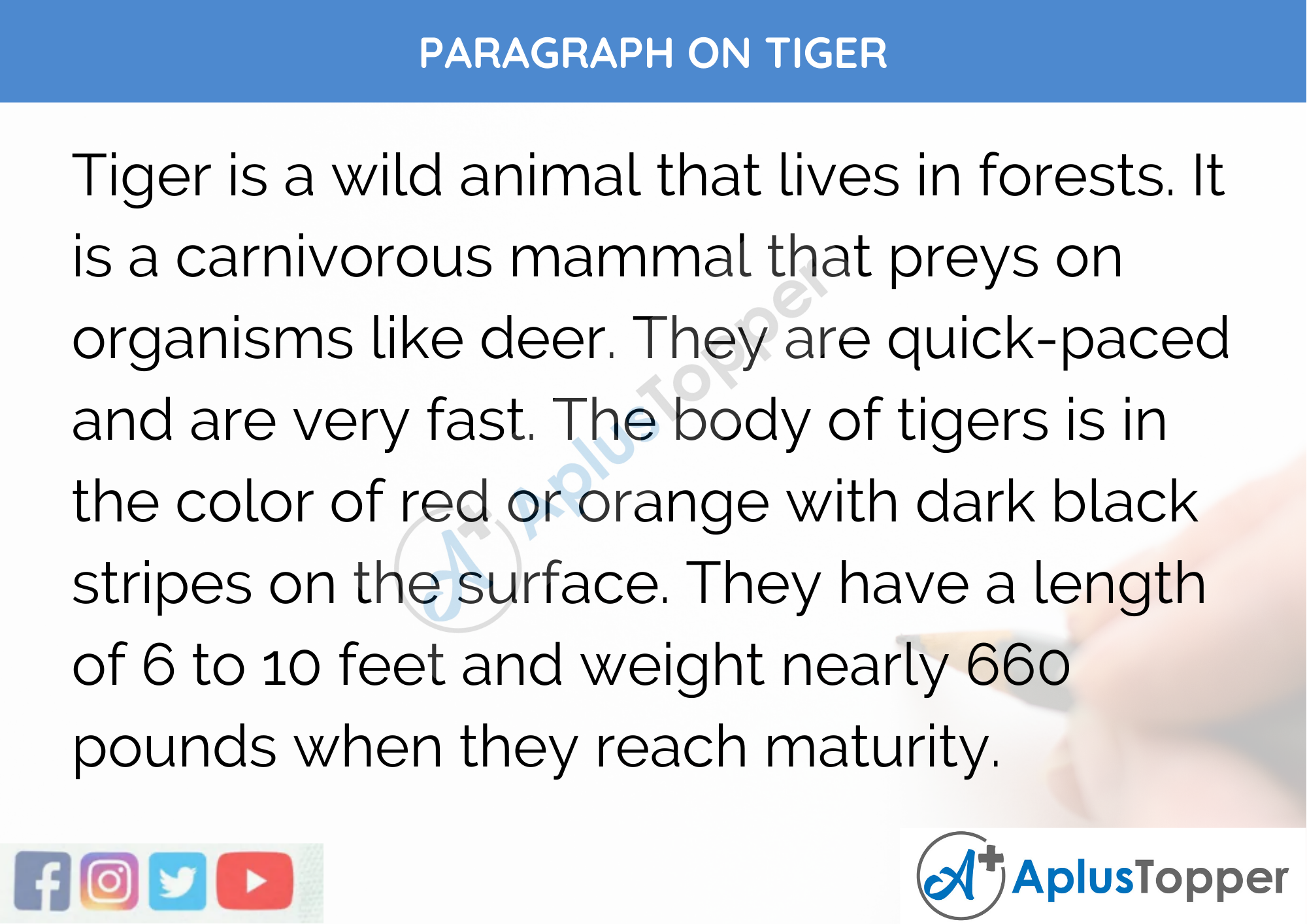 endangered animals essay 100 words