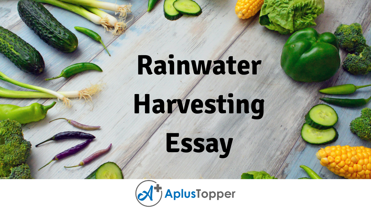 a essay about rain water harvesting
