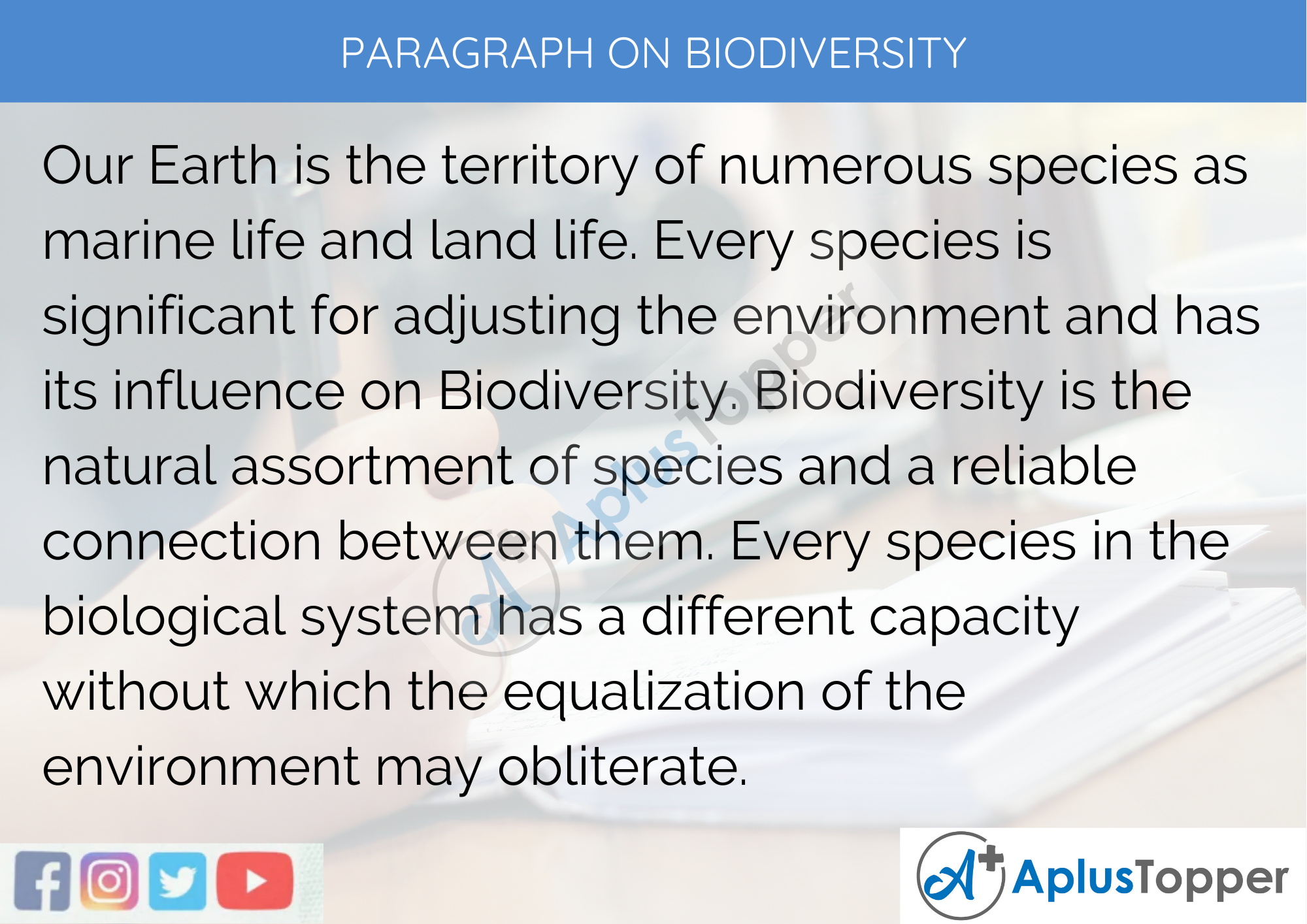 essay about levels of biodiversity