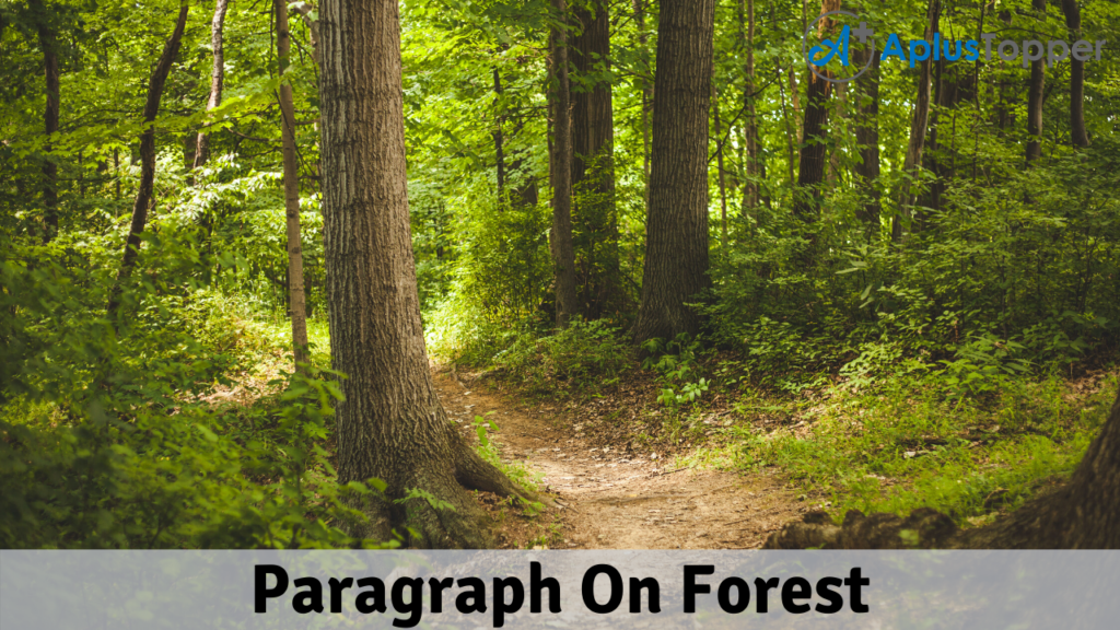 Paragraph On Forest 100 150 0 250 To 300 Words For Kids Students And Children A Plus Topper