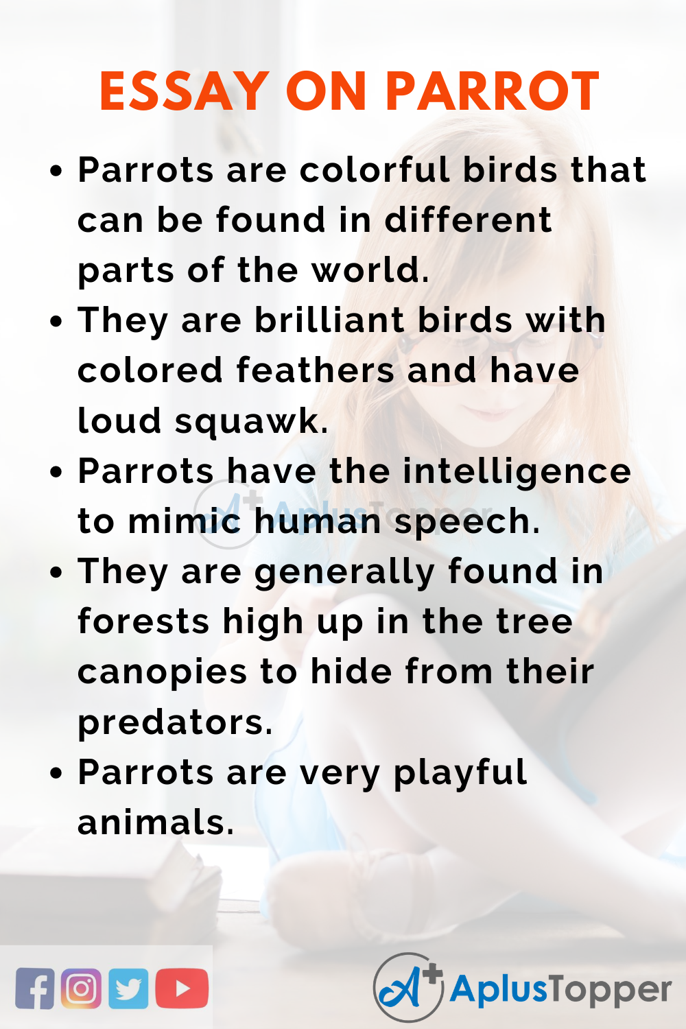 descriptive essay about the birds