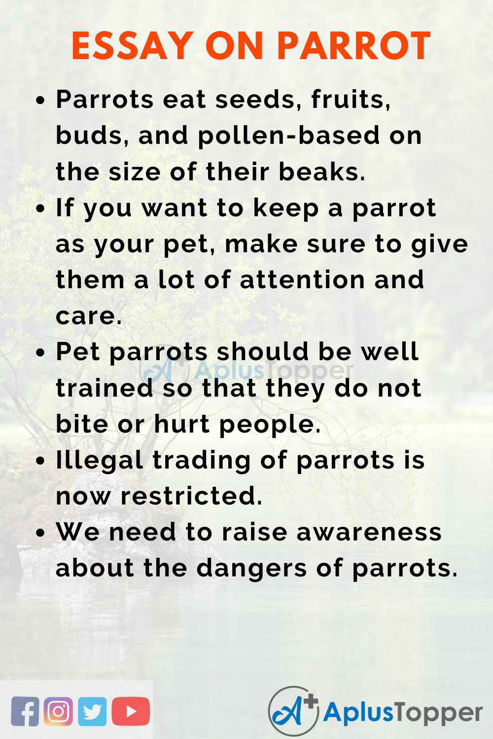 easy essay on pet parrot