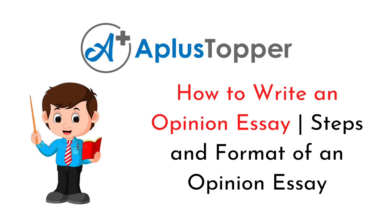 definition of an opinion essay