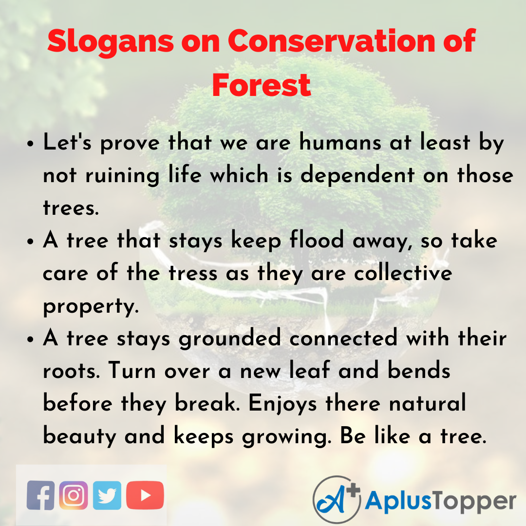 Slogans on Conservation of Forest | Unique and Catchy Conservation ...