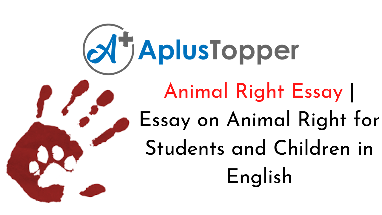 animal rights essay pdf