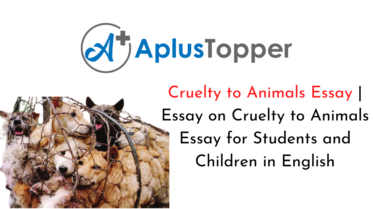 essay on cruelty to animals