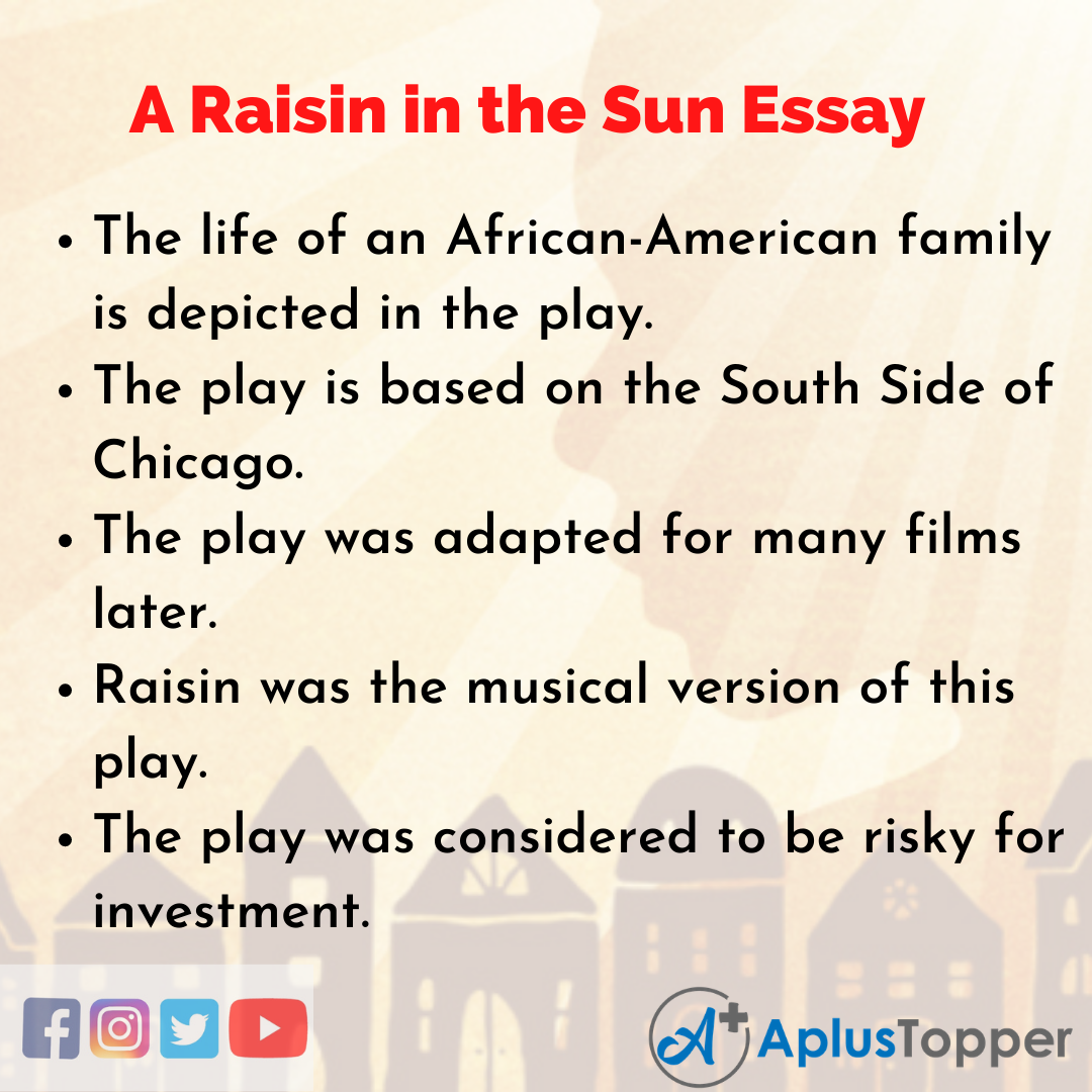 a good hook for a raisin in the sun essay