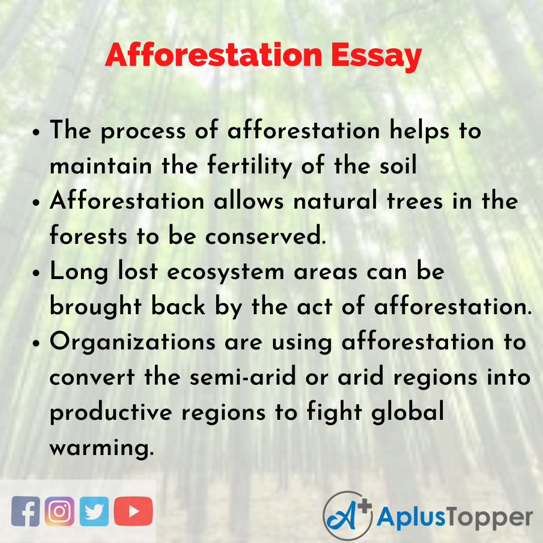 afforestation essay for class 4