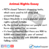 animal rights short essay