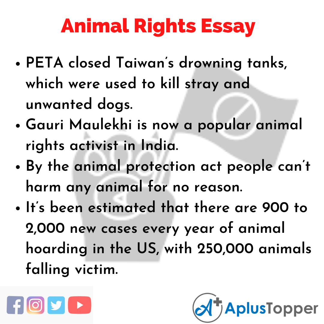 200 word essay on animal rights