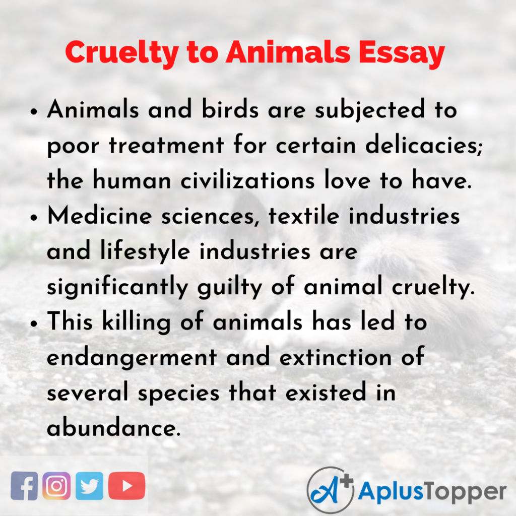 essay on cruelty to animals