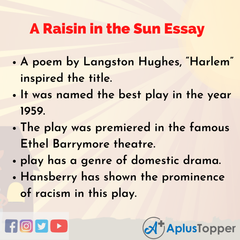 a raisin in the sun race essay