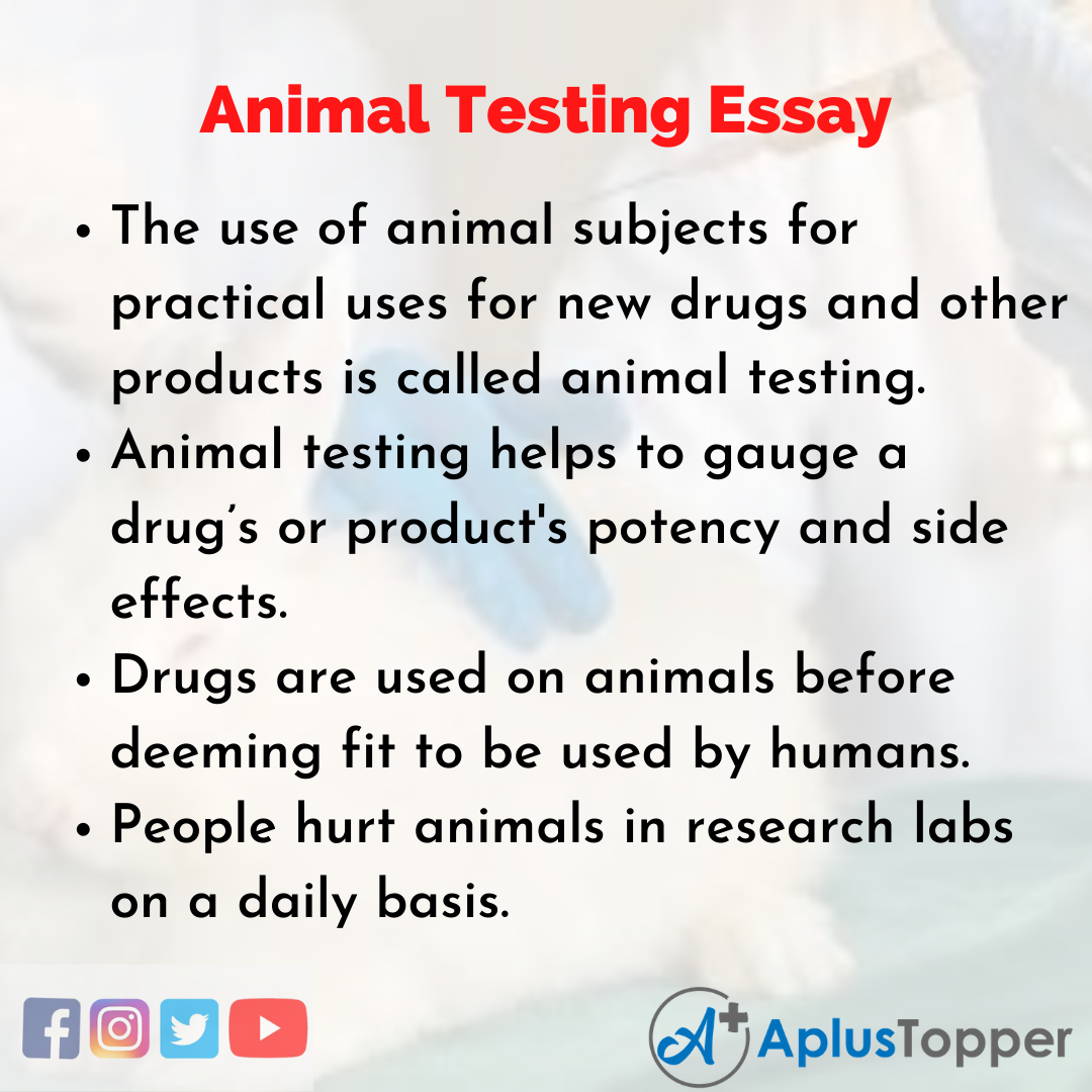 thesis statement on animal testing