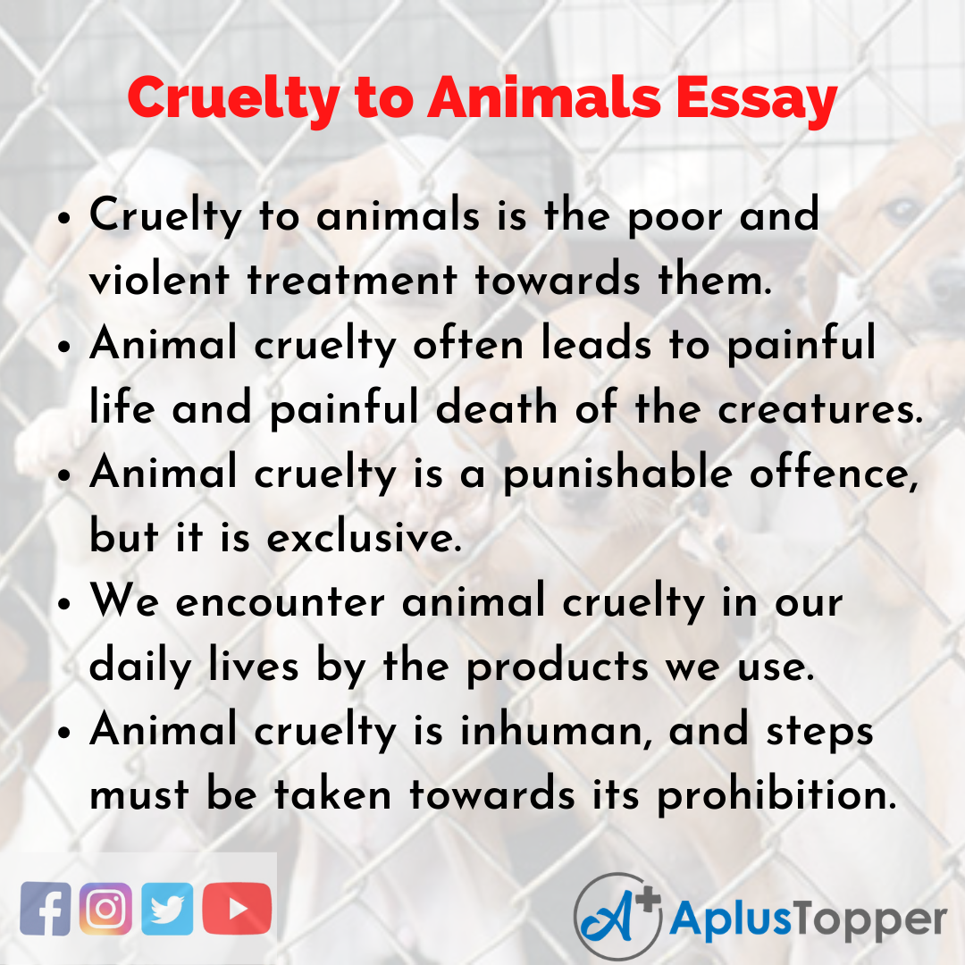 essay about cruelty to animals