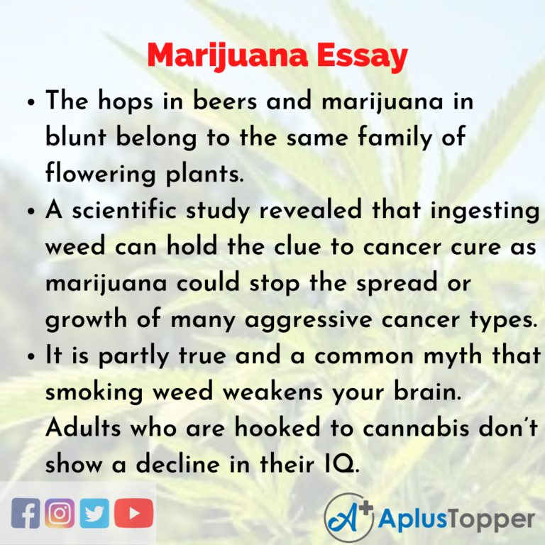 marijuana essay body