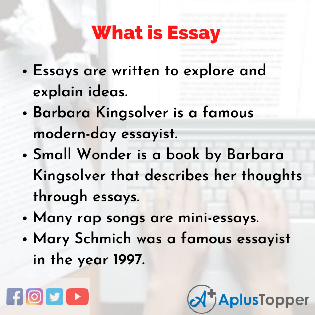What is an esay