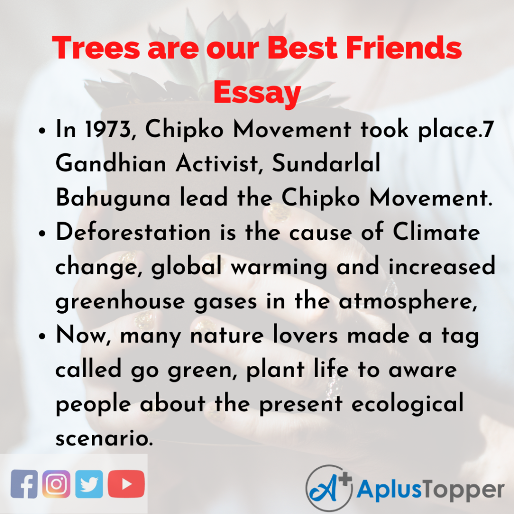 trees are our best friend essay in english 250 words